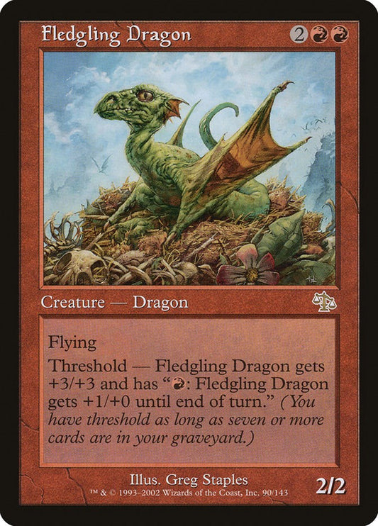 Fledgling Dragon [JUD - 90]