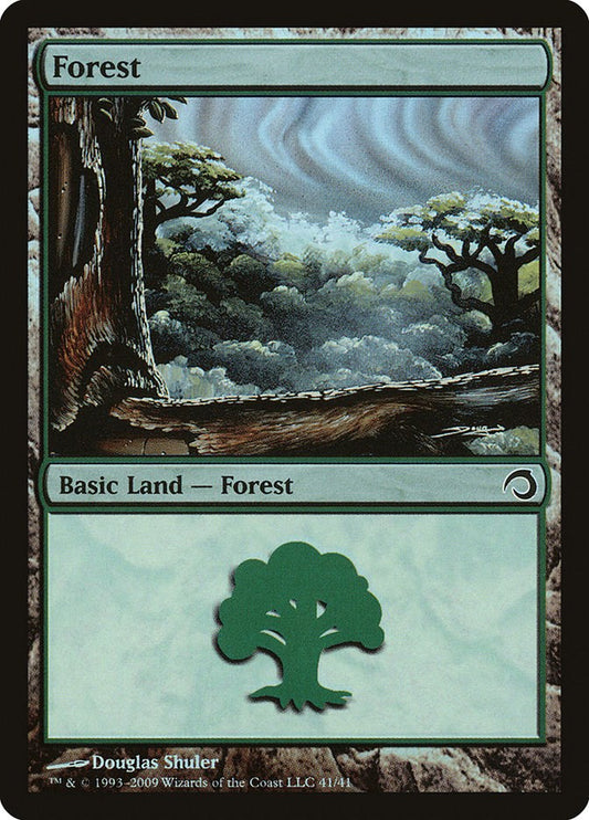 Forest (41)