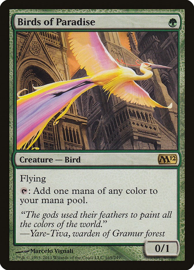 Birds of Paradise [M12 - 165]