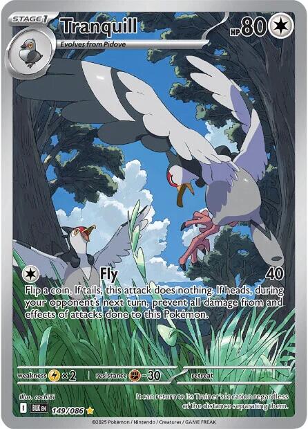 Tranquill - 149/086 [BLK - 149/086]