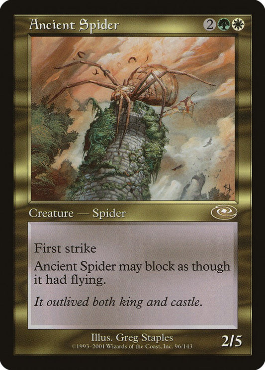 Ancient Spider [PLS - 96]