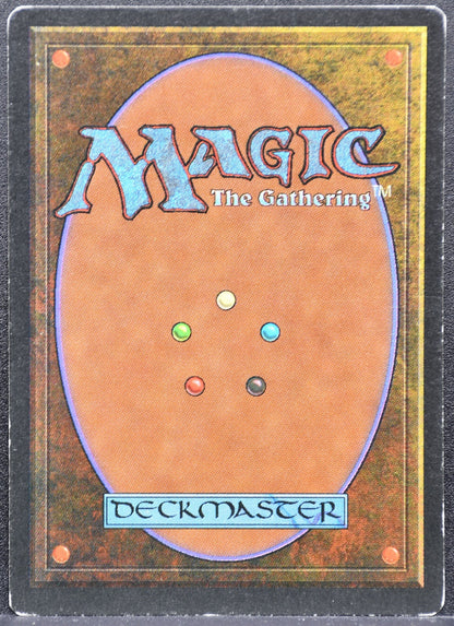 MTG Storm Seeker Legends Signed Mark Poole HP