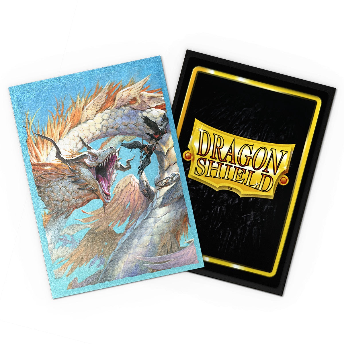 Dragon Shield Sleeves Dual Matte The Ejsingandr (100)