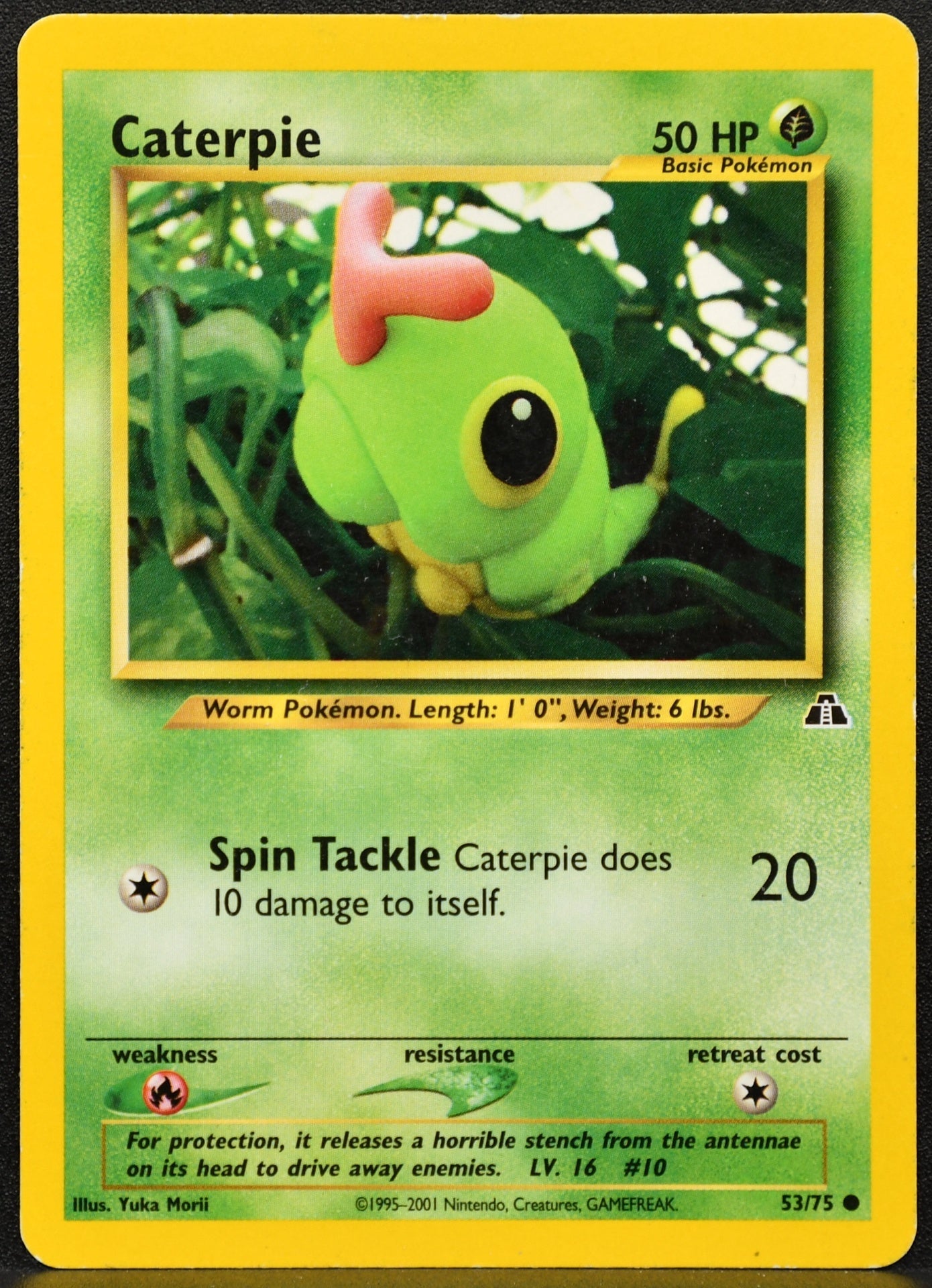Caterpie (53/75) - Neo Discovery - HP